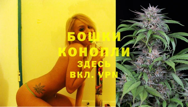 дурь Арсеньев