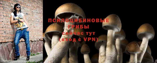 2c-b Аркадак