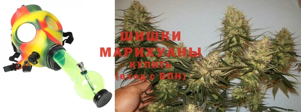 дурь Арсеньев